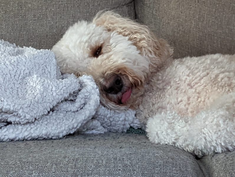 PXL_20220608_114119780